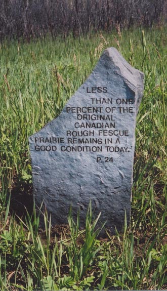 tombstone saying only 1% of fescue grass remains